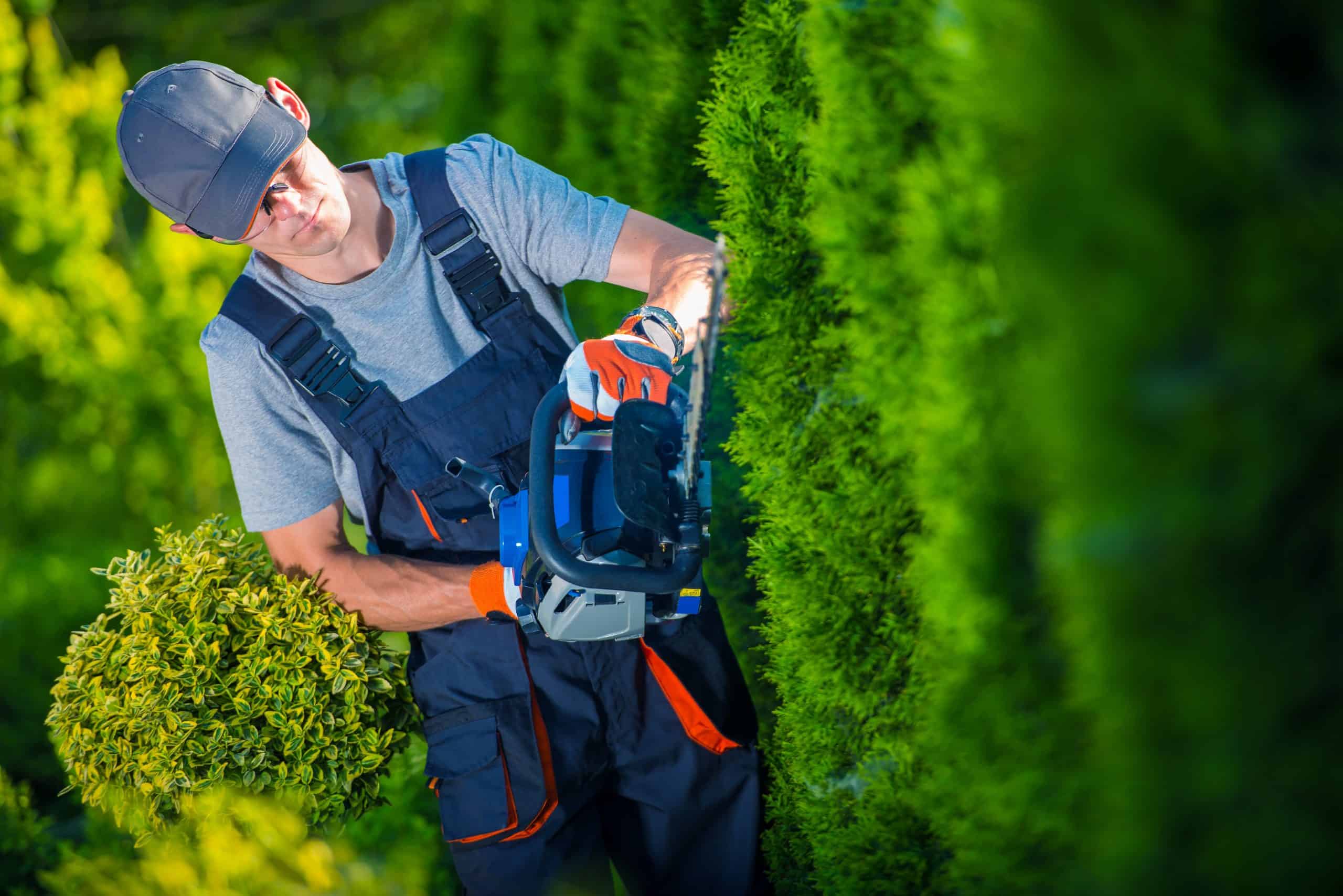 Working Capital for Landscapers